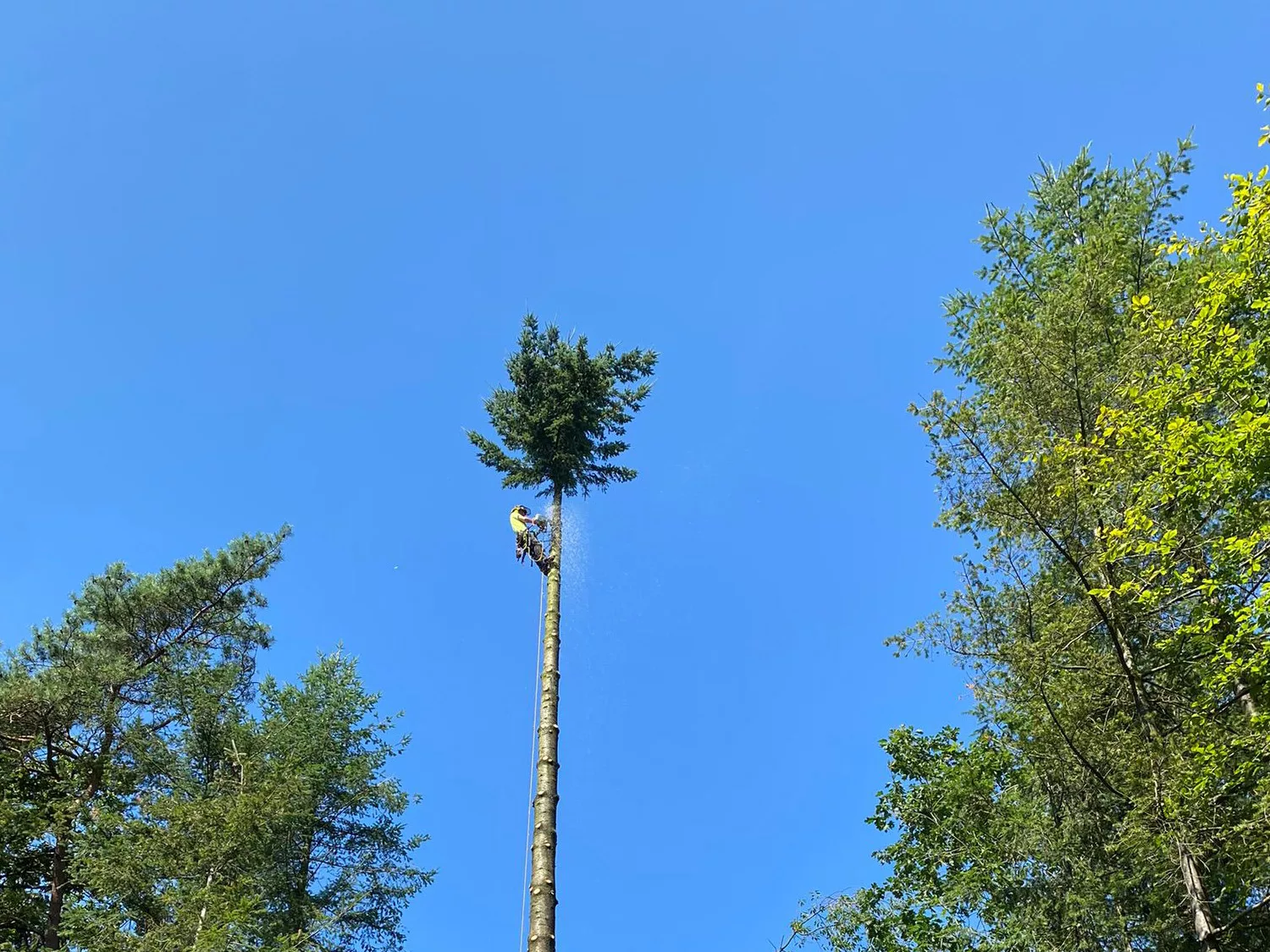 Op eenzame hoogte
